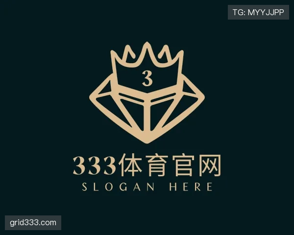 介绍333体育